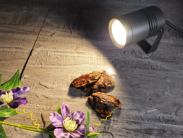 Customers can install different CCT or beam angles MR16 lamp into this IP67 housing.