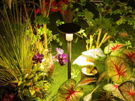 100°  downward light for garden