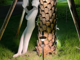 100° for downward,and with a optional spot light on the top with 15°,24°,36° or 60°