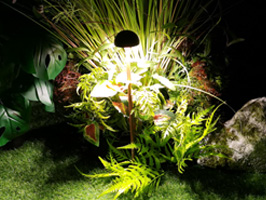 Very small diameter 60mm top that is a simulation plant  in the garden.