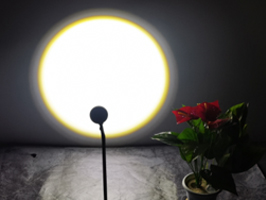 50 degrees beam angle angles warm white colour LED or  natural white, cool white LED, all of the CCT can be with colour full filter.